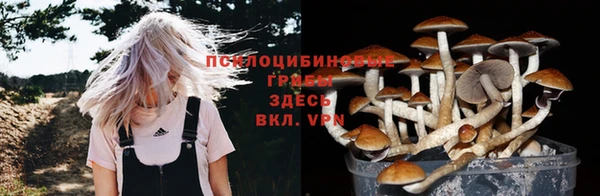 PSILOCYBIN Верея